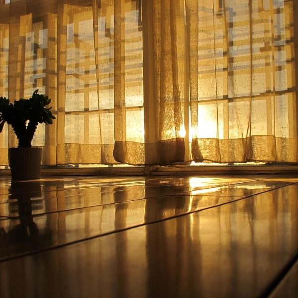 early-morning-1757091_1280